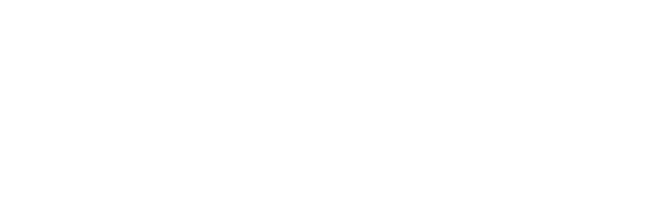 Koudia Logo Blanco